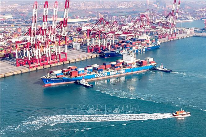Cảng hàng hóa ở Thanh Đảo, tỉnh Sơn Đông, Trung Quốc ngày 13/1/2025. Ảnh: TTXVN