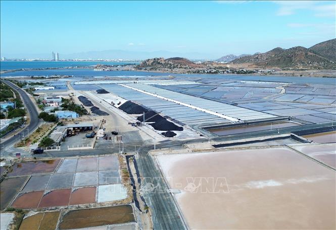 Sản xuất muối quy mô công nghiệp tập trung tại cánh đồng muối Đầm Vua (huyện Ninh Hải, tỉnh Ninh Thuận). Ảnh: Nguyễn Thành – TTXVN