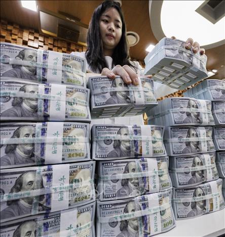 Đồng USD tại Ngân hàng Hana, Hàn Quốc. Ảnh: Yonhap/TTXVN
