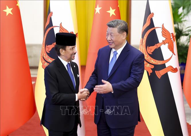 Chủ tịch Trung Quốc Tập Cận Bình (phải) và Quốc vương Brunei Haji Hassanal Bolkiah Mu'izzaddin Waddaulah tại cuộc gặp ở Bắc Kinh, Trung Quốc, ngày 6/2/2025. Ảnh: THX/TTXVN
