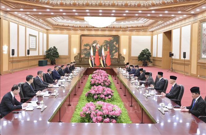 Chủ tịch Trung Quốc Tập Cận Bình và Quốc vương Brunei Haji Hassanal Bolkiah Mu'izzaddin Waddaulah tại cuộc hội đàm ở Bắc Kinh, Trung Quốc, ngày 6/2/2025. Ảnh: THX/TTXVN