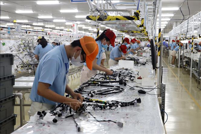 Công nhân làm việc tại Công ty Furukawa Automotive Systems (FAS) Vĩnh Long, Khu Công nghiệp Bình Minh. Ảnh: Phạm Minh Tuấn-TTXVN