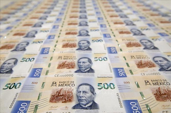 Đồng tiền giấy mệnh giá 500 pesos của Mexico tại ngân hàng ở El Salto, bang Jalisco. Ảnh: Getty Images/TTXVN