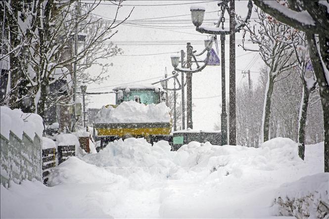 Thành phố Obihiro của tỉnh Hokkaido (Nhật Bản) ghi nhận lượng tuyết dày lên tới 120 cm chỉ trong 12 giờ tính đến trưa 4/2/2025. Đây là mức tuyết rơi cao nhất từng được ghi nhận tại thành phố này kể từ năm 1972. Ngày 5/2/2025, tuyết tiếp tục rơi dày ở ven biển Biển Nhật Bản do ảnh hưởng của luồng không khí lạnh mạnh nhất trong mùa Đông. Ảnh: Tuyết rơi dày tại Hokkaido, Nhật Bản. Kyodo/TTXVN