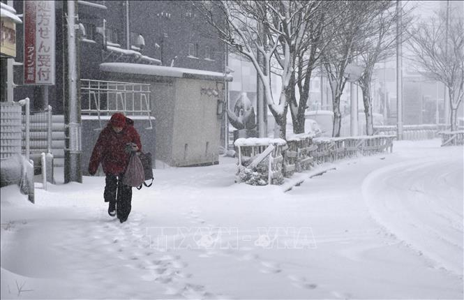 Thành phố Obihiro của tỉnh Hokkaido (Nhật Bản) ghi nhận lượng tuyết dày lên tới 120 cm chỉ trong 12 giờ tính đến trưa 4/2/2025. Đây là mức tuyết rơi cao nhất từng được ghi nhận tại thành phố này kể từ năm 1972. Ngày 5/2/2025, tuyết tiếp tục rơi dày ở ven biển Biển Nhật Bản do ảnh hưởng của luồng không khí lạnh mạnh nhất trong mùa Đông. Ảnh: Tuyết rơi dày tại Niigata, Nhật Bản. Kyodo/TTXVN