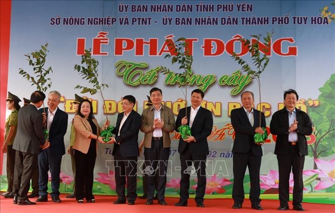 Lãnh đạo tỉnh Phú Yên tặng cây xanh cho thành phố Tuy Hòa để trồng tại khu vực công viên Hồ Sơn. Ảnh: Xuân Triệu - TTXVN