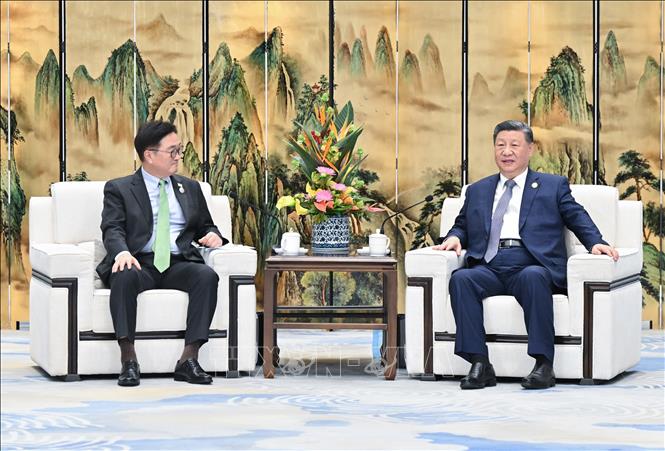 Chủ tịch Trung Quốc Tập Cận Bình (phải) và Chủ tịch Quốc hội Hàn Quốc Woo Won Shik tại cuộc hội đàm ở thành phố Cáp Nhĩ Tân ngày 7/2/2025. Ảnh: THX/TTXVN