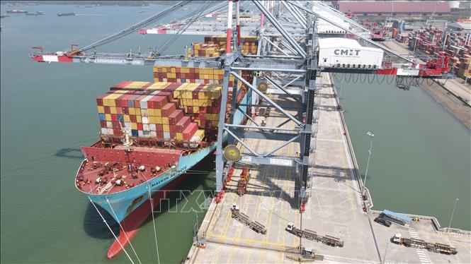 Cai Mep International Terminal welcomes the first vessel from the WC1/TP6 service of the Gemini Cooperation. VNA Photo: Huỳnh Sơn 