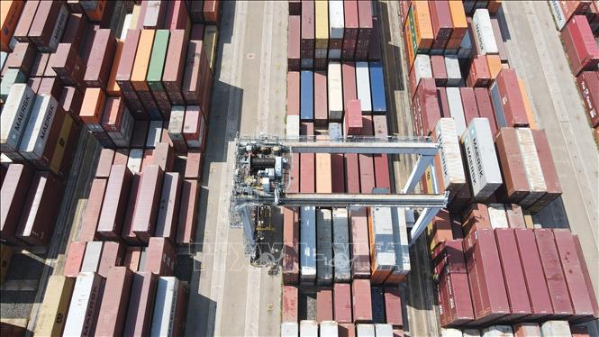 The container yard at Cai Mep International Terminal. VNA Photo: Huỳnh Sơn 