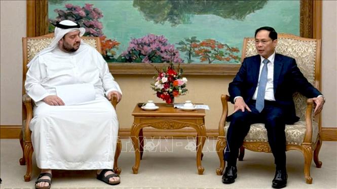 Deputy Prime Minister, Foreign Minister Bui Thanh Son receives UAE Minister of Investment Mohamed Alsuwaidi. VNA Photo by courtesy
