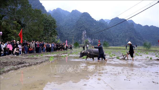 Nghi lễ Tịch điền tại Lễ hội Lồng Tông huyện Lâm Bình. Ảnh: Quang Cường – TTXVN