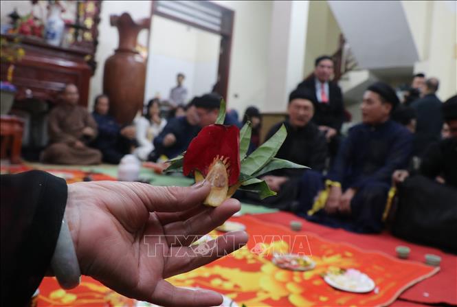 Miếng trầu têm cánh phượng là vật không thể thiếu được trong những buổi giao lưu Quan họ. Ảnh: Thanh Thương - TTXVN
