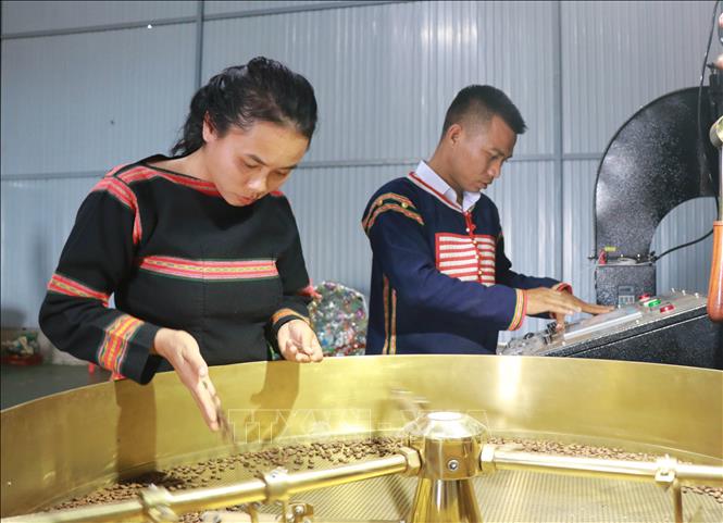 Vợ chồng chị Rơ Châm A Wưnh đầu tư máy móc phục vụ sản xuất cà phê sạch. Ảnh: Hồng Điệp - TTXVN