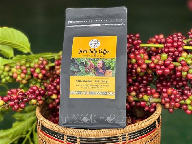 Sản phẩm cà phê bột của Công ty chế biến nông sản Jrai Ialy tại xã Ia Ka (Chư Păh, Gia Lai). Ảnh: Hồng Điệp - TTXVN