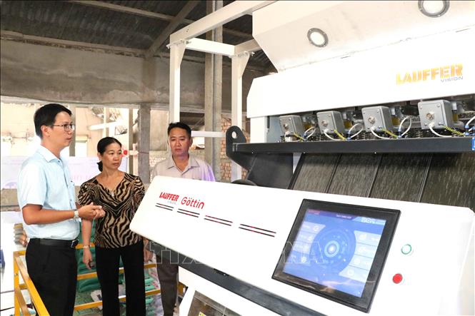Ông Nguyễn Đăng Khởi, Phó Giám đốc Trung tâm Khuyến công và Xúc tiến thương mại Trà Vinh (trái) nghiệm thu máy tách màu, phân loại hạt gạo các loại. Ảnh: Thanh Hòa-TTXVN
