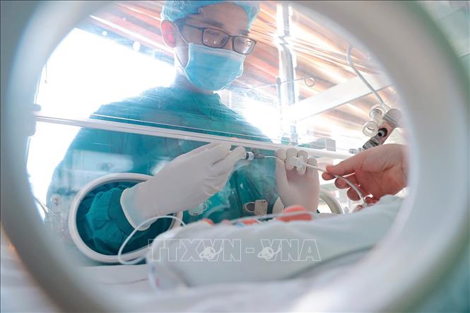 Hiện tại có nhiều phương pháp và kỹ thuật bơm surfactant khác nhau, cần cân nhắc tùy theo từng trường hợp cụ thể. Ảnh: Minh Quyết - TTXVN