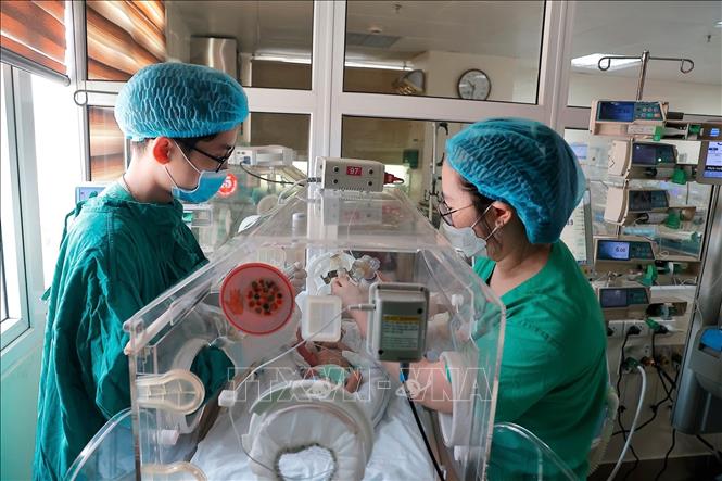 Trẻ sinh non tháng, phổi chưa trưởng thành thiếu hụt chất surfactant gây xẹp các phế nang dẫn tới tình trạng suy hô hấp ở trẻ cần được bơm surfactant để điều trị . Ảnh: Minh Quyết - TTXVN
