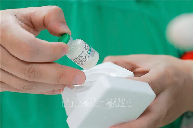 Kỹ thuật bơm sử dụng chất surfactant ngoại sinh được tổng hợp để đưa vào phổi cho trẻ. Ảnh: Minh Quyết - TTXVN