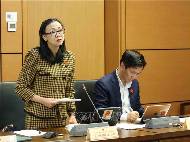 Đại biểu Quốc hội tỉnh Lâm Đồng Trịnh Thị Tú Anh phát biểu ý kiến. Ảnh: Phương Hoa – TTXVN