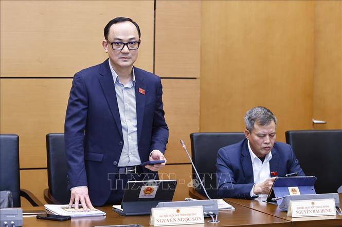 Đại biểu Quốc hội tỉnh Hải Dương Nguyễn Ngọc Sơn phát biểu. Ảnh: Doãn Tấn - TTXVN