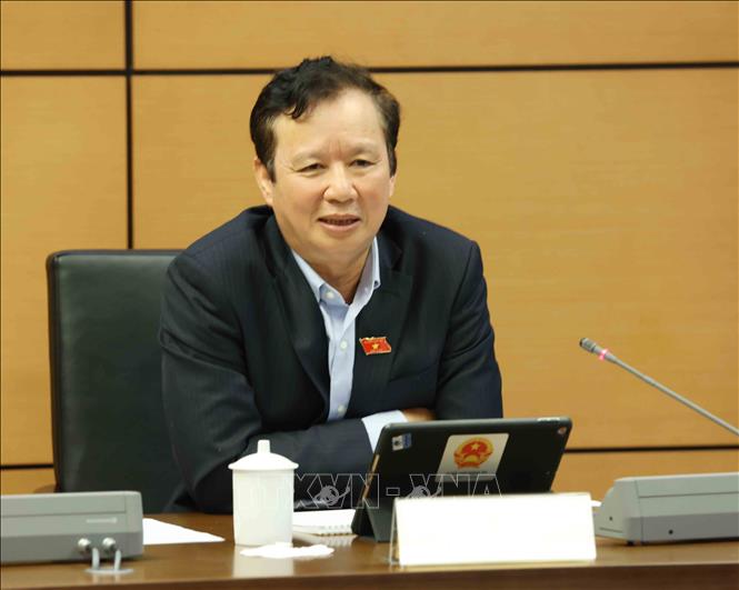 Đại biểu Quốc hội Thừa Thiên Huế Lê Trường Lưu phát biểu ý . Ảnh: Phương Hoa – TTXVN