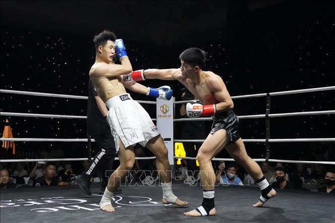 Tâm điểm của Sự kiện Kickboxing và Muay Quốc tế Grand Strikeforce Vol. 2: Warriors chính là trận đấu ở hạng cân dưới 70kg giữa Kiều Duy Quân, ngôi sao mới của Kickboxing Việt Nam và Zhou Hao Ran (Trung Quốc). Ảnh: Huỳnh Sơn-TTXVN