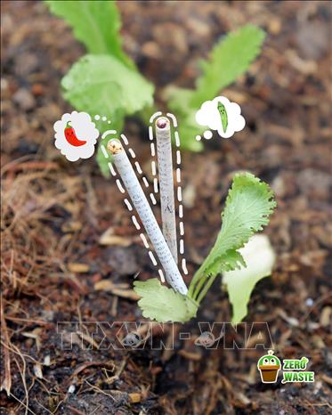 Sản phẩm bút chì 