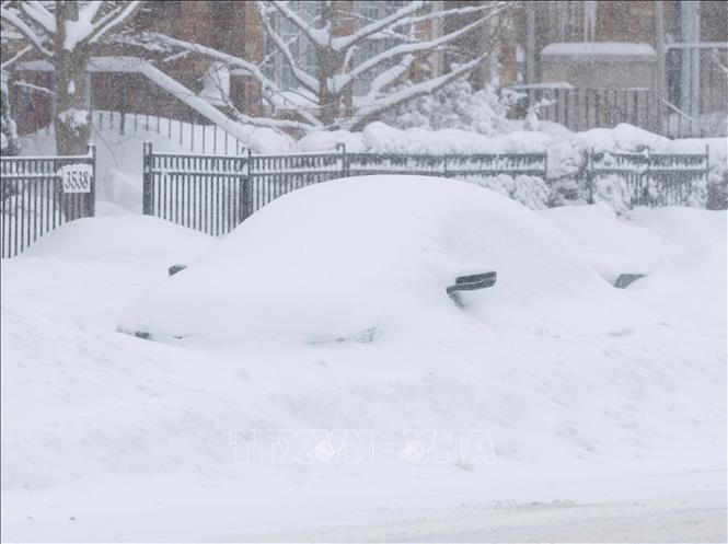 Tuyết phủ trắng xóa tại Mississauga, Canada, ngày 16/2/2025. Ảnh: THX/TTXVN