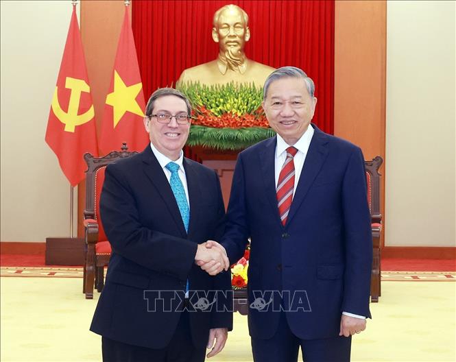 Party General Secretary To Lam receives Cuba's Politburo member and Minister of Foreign Affairs Bruno Rodriguez Parrilla. VNA Photo: Thống Nhất 