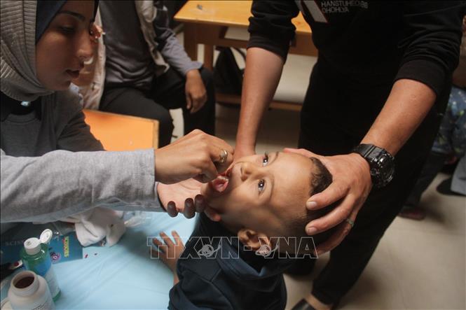 Trẻ em uống vaccine phòng bại liệt tại Gaza. Ảnh: THX/TTXVN