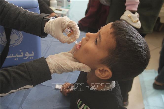 Trẻ em uống vaccine phòng bại liệt tại Gaza. Ảnh: THX/TTXVN