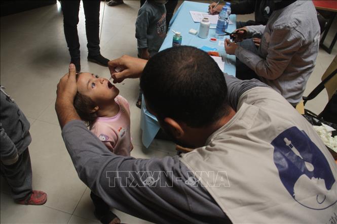 Trẻ em uống vaccine phòng bại liệt tại Gaza. Ảnh: THX/TTXVN