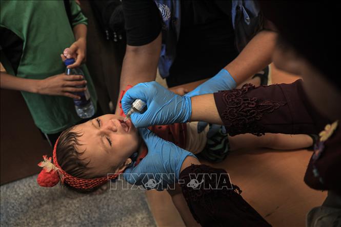 Trẻ em uống vaccine phòng bại liệt tại Deir al-Balah, Dải Gaza. Ảnh: THX/TTXVN