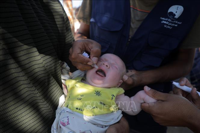 Em nhỏ uống vaccine phòng bại liệt tại Khan Younis, Dải Gaza. Ảnh: THX/TTXVN