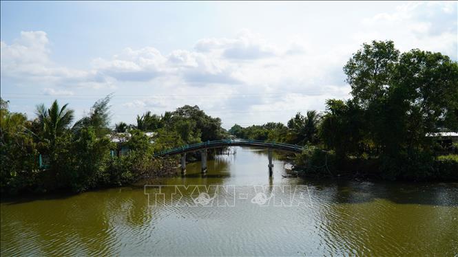 Độ mặn ở kênh Bảy Biển, xã Nam Thái A, huyện An Biên, từ đầu tháng 2/2025 đến nay có lúc lên đến 30‰-35‰. Ảnh: Văn Sĩ - TTXVN                                 