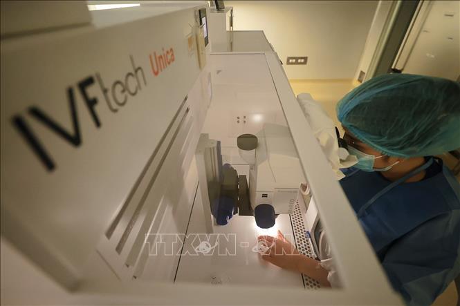 Chuyên viên phôi tại phòng Lab IVF, Bệnh viện đa khoa Tâm Anh thực hiện thao tác trên phôi, noãn và giao tử. Ảnh: Minh Quyết - TTXVN