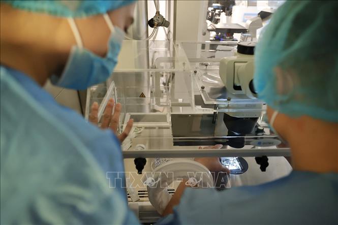 Chuyên viên phôi tại phòng Lab IVF, Bệnh viện đa khoa Tâm Anh thực hiện thao tác trên phôi, noãn và giao tử. Ảnh: Minh Quyết - TTXVN