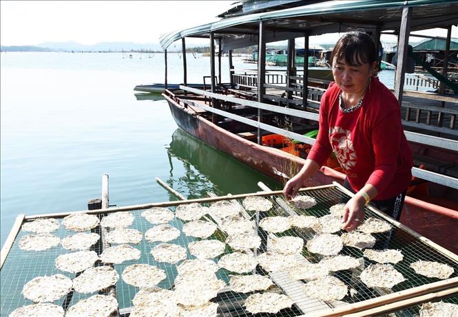 The Se San fishing village promotes dried-fish rice paper as its OCOP (one commune one product). VNA Photo: Khoa Chương