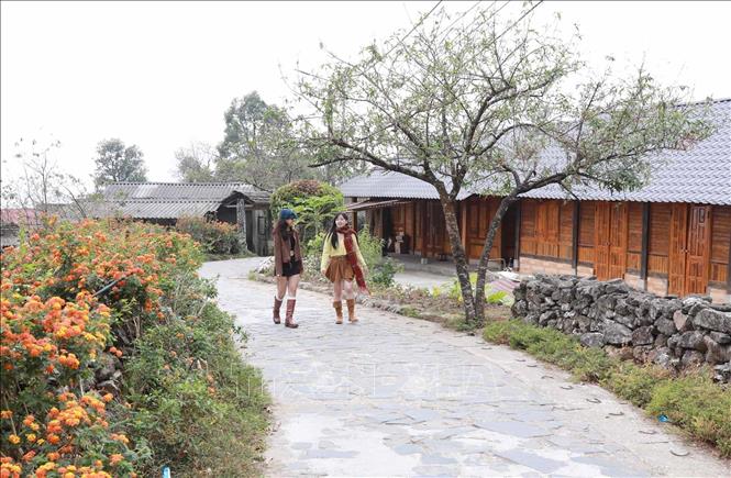 Bản Sì Thâu Chải luôn thu hút giới trẻ đến trải nghiệm khám phá, thưởng thức không khí trong lành và cuộc sống thanh bình của người dân nơi đây. Ảnh: Quý Trung - TTXVN