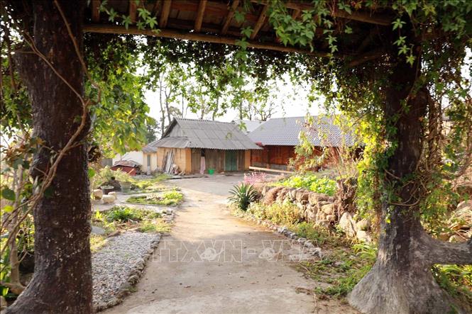 Những nếp nhà của người Dao vẫn giữ được nguyên sơ, cổng vào được người dân làm gần gũi với thiên nhiên. Ảnh: Quý Trung - TTXVN