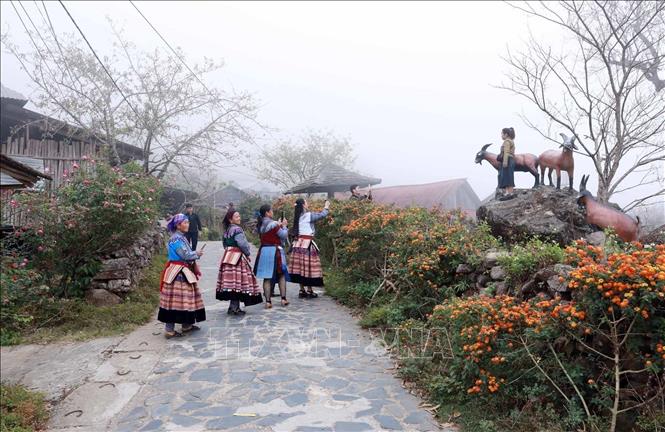 Cảnh sắc bản Sì Thâu Chải được tạo ra bởi người dân gắn với thiên nhiên, dọc hai bên đường dẫn vào bản có nhiều loại hoa luôn thi nhau khoe sắc theo mùa. Ảnh: Quý Trung - TTXVN