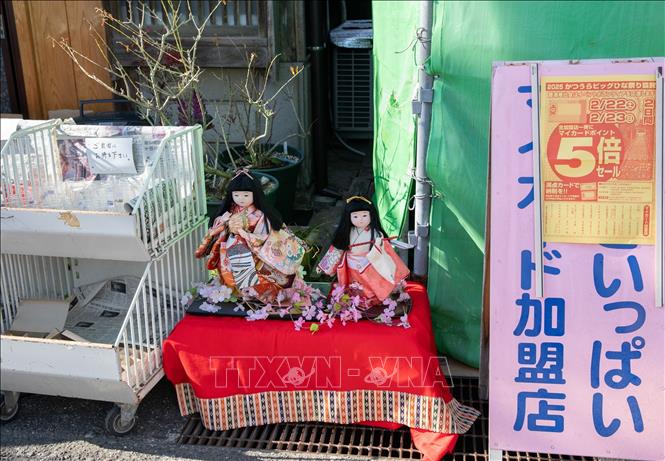 Búp bê được trưng bày trong thành phố Katsuura vào dịp lễ hội Hina Matsuri. Ảnh: Xuân Giao – PV TTXVN tại Nhật Bản