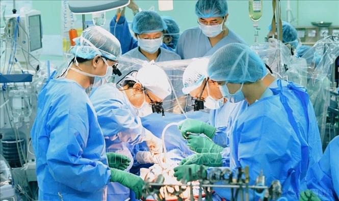 Liên tiếp trong 3 ngày, Bệnh viện Đại học Y dược Thành phố Hồ Chí Minh thực hiện thành công ba ca ghép tạng quan trọng. Đó là ca ghép tim xuyên Việt với người hiến tạng chết não từ Hà Nội và hai ca chia gan để ghép từ một lá gan của một người cho chết não khác tại Thành phố Hồ Chí Minh (26/8/2024). Ảnh: TTXVN phát