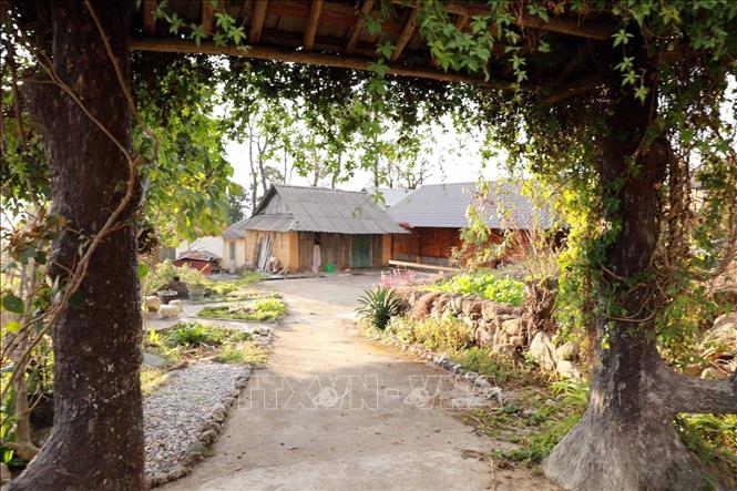 Houses with rammed earth walls of the Dao people create a pristine beauty for Si Thau Chai. VNA Photo: Quý Trung