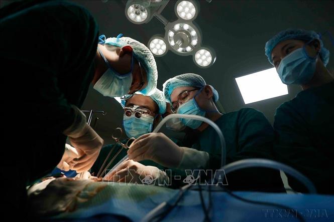 Ngày 8/9/2024, Bệnh viện Đa khoa Đức Giang (Hà Nội) đã thực hiện thành công ca ghép thận cùng huyết thống đầu tiên, đánh dấu bước ngoặt mới trong phát triển chuyên môn, chính thức ghi danh bệnh viện trên bản đồ ghép tạng của Việt Nam. Trong ảnh: Bác sĩ Bệnh viện Đa khoa Đức Giang tiến hành ghép thận cho bệnh nhân. Ảnh: Minh Quyết - TTXVN