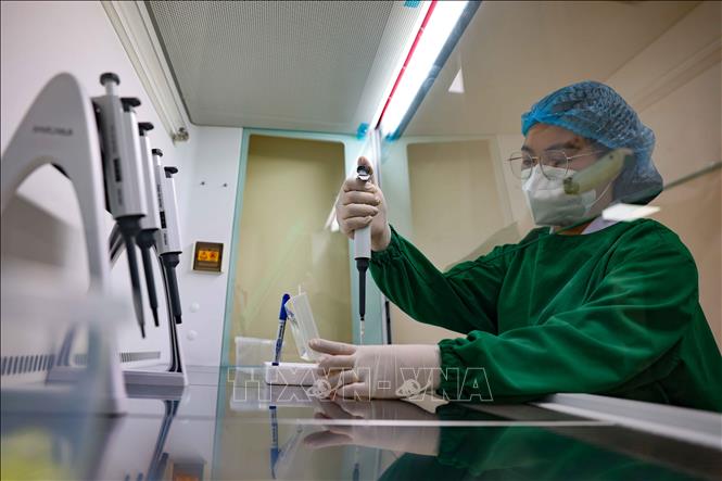 Tách chiết DNA trong tủ An toàn sinh học cấp II. Ảnh: Thanh Tùng - TTXVN 