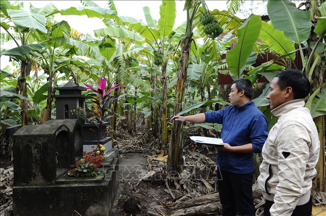 Chính quyền xã Tứ Dân (Khoái Châu) đang tiến hành kiểm đếm, quy chủ 517 ngôi mộ nằm trong phạm vi giải phóng mặt bằng của Dự án. Ảnh Mạnh Khánh-TTXVN