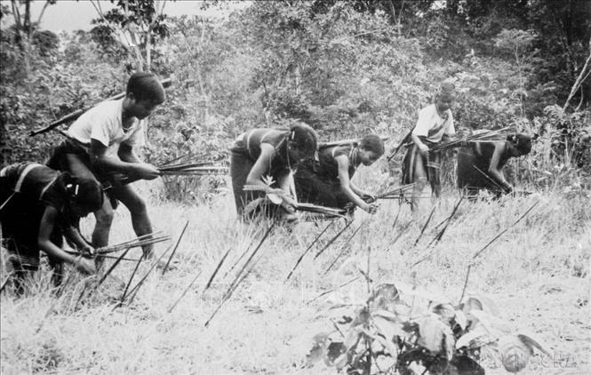 Du kích Đắk Lắk (huyện 6, Gia Lai) cắm chông đề phòng địch đánh chiếm (1975). Ảnh: Anh Tôn - TTXVN