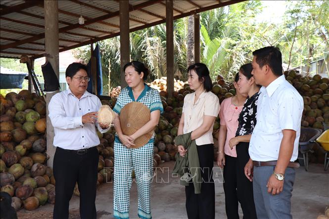 Hội Nông dân tỉnh Bến Tre tìm hiểu mô hình sản xuất dừa hữu cơ ở huyện Mỏ Cày Nam. Ảnh: Công Trí-TTXVN