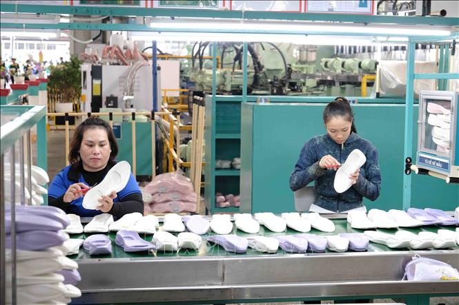 Công nhân Công ty TNHH TKG Tae Kwang Cần Thơ trong giờ làm việc. Ảnh: Thanh Liêm - TTXVN